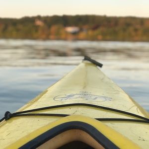 Meet your Posher, Bryant